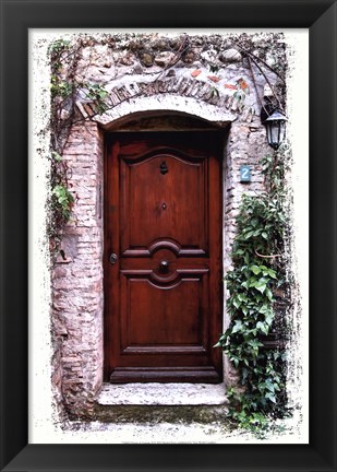 Framed Doors of Europe II Print