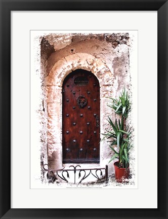 Framed Doors of Europe III Print