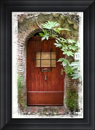 Framed Doors of Europe XV Print