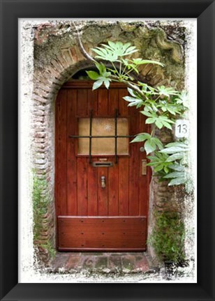 Framed Doors of Europe XV Print