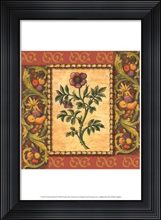 Framed Victorian Floral II Print