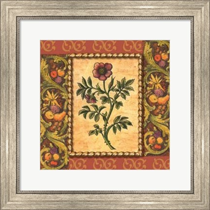 Framed Victorian Floral II Print