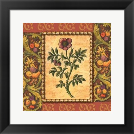 Framed Victorian Floral II Print