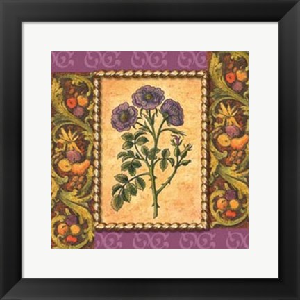 Framed Victorian Floral III Print