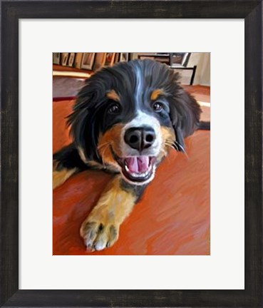 Framed Bernese Puppy Print