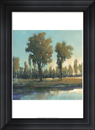 Framed Early Morning Spring Print