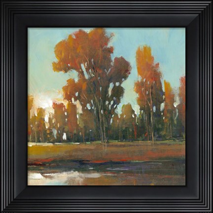 Framed Late Afternoon Fall Print