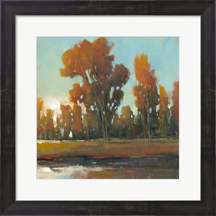 Framed Late Afternoon Fall Print
