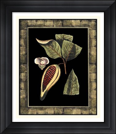 Framed Tropical Bounty I Print