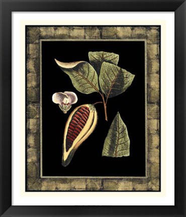 Framed Tropical Bounty I Print