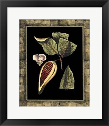 Framed Tropical Bounty I Print