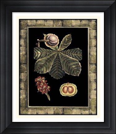 Framed Tropical Bounty II Print