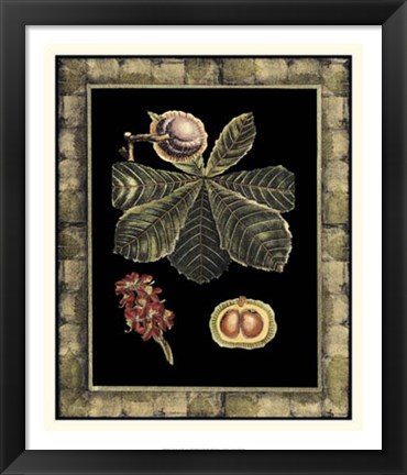 Framed Tropical Bounty II Print