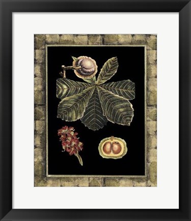 Framed Tropical Bounty II Print