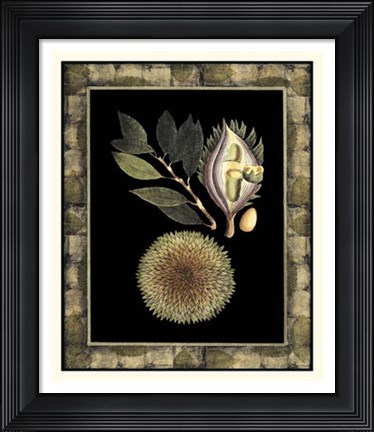 Framed Tropical Bounty III Print