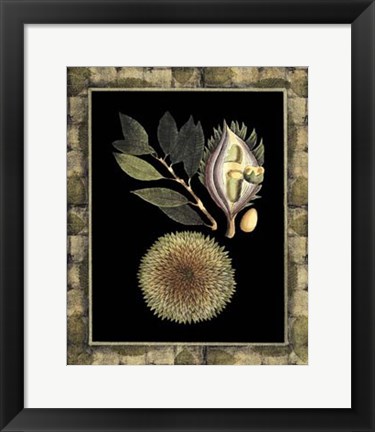 Framed Tropical Bounty III Print