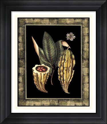 Framed Tropical Bounty IV Print