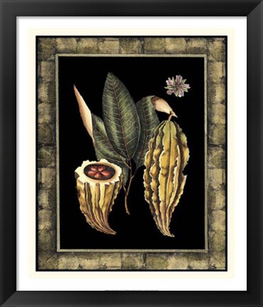 Framed Tropical Bounty IV Print