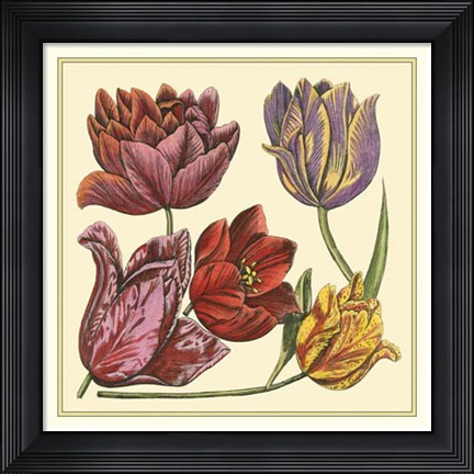 Framed Floral Spray II Print