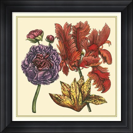 Framed Floral Spray III Print