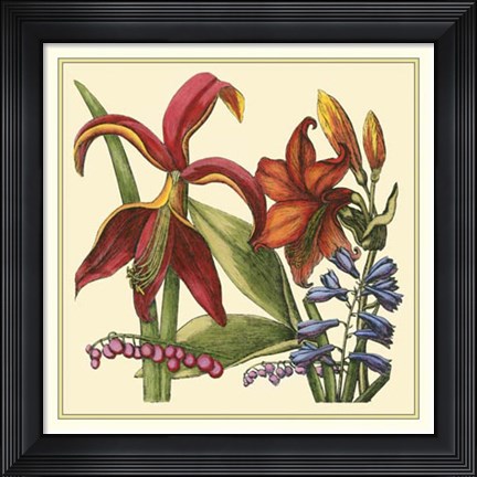 Framed Floral Spray IV Print