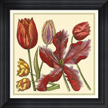 Framed Floral Spray V Print