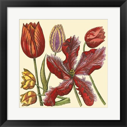 Framed Floral Spray V Print