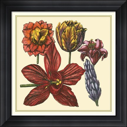 Framed Floral Spray VI Print