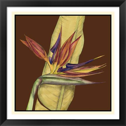 Framed Striking Tropical I Print