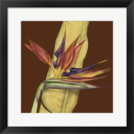 Framed Striking Tropical I Print