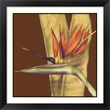 Framed Striking Tropical II Print