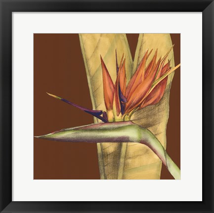 Framed Striking Tropical II Print