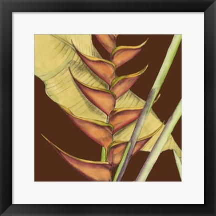 Framed Striking Tropical III Print