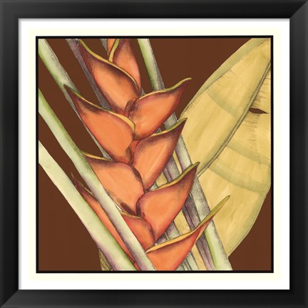 Framed Striking Tropical IV Print