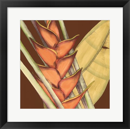 Framed Striking Tropical IV Print