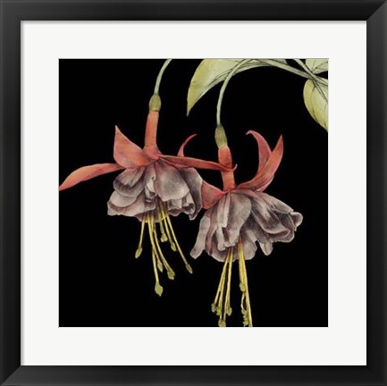 Framed Graphic Fuchsia I Print