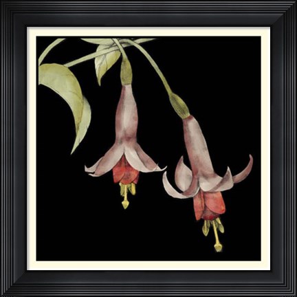 Framed Graphic Fuchsia IV Print