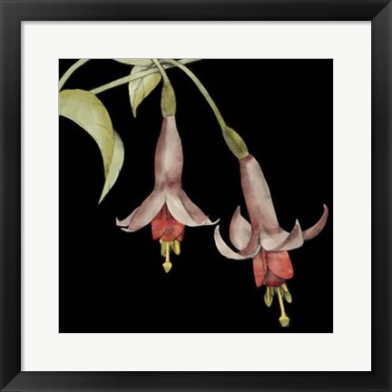 Framed Graphic Fuchsia IV Print