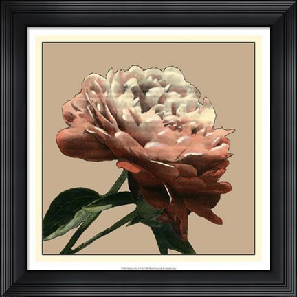 Framed Heirloom Rose I Print