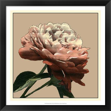 Framed Heirloom Rose I Print