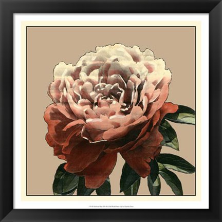 Framed Heirloom Rose II Print