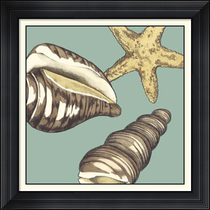 Framed Shell Trio on Blue I Print