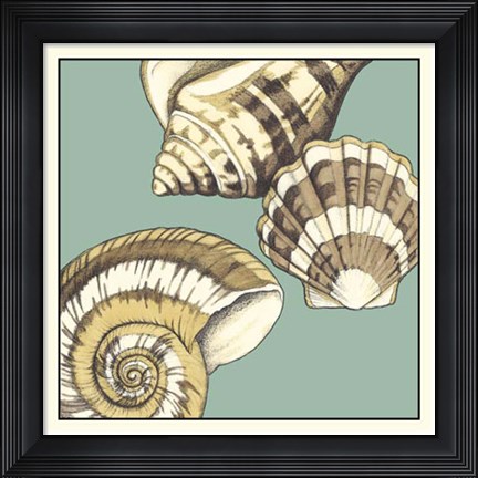 Framed Shell Trio on Blue II Print