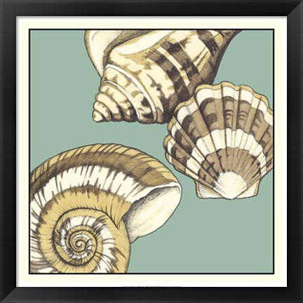 Framed Shell Trio on Blue II Print