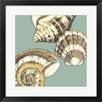 Framed Shell Trio on Blue II Print