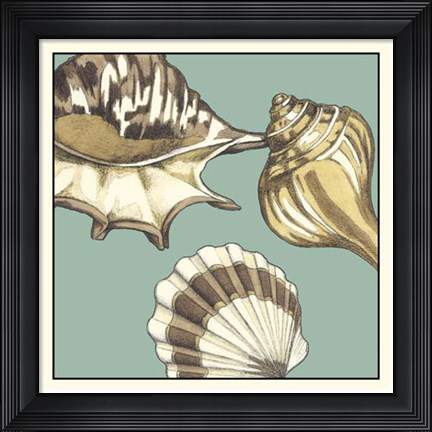 Framed Shell Trio on Blue III Print