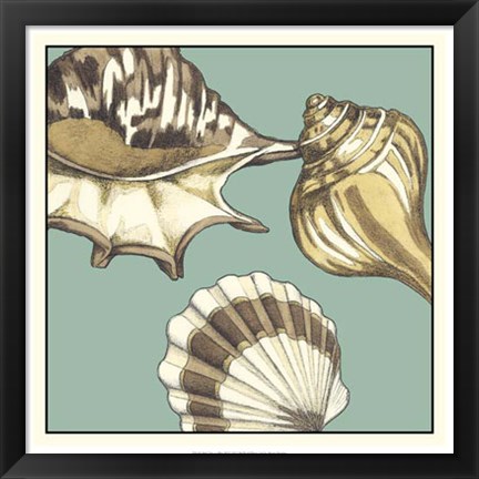 Framed Shell Trio on Blue III Print