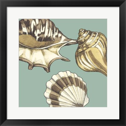 Framed Shell Trio on Blue III Print