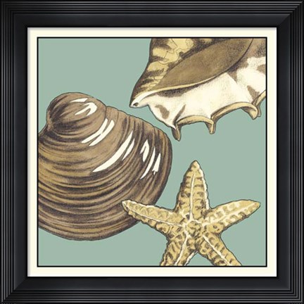 Framed Shell Trio on Blue IV Print