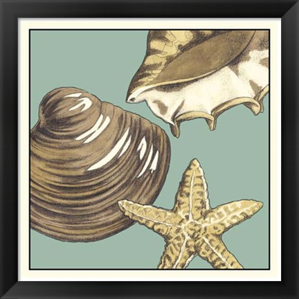 Framed Shell Trio on Blue IV Print